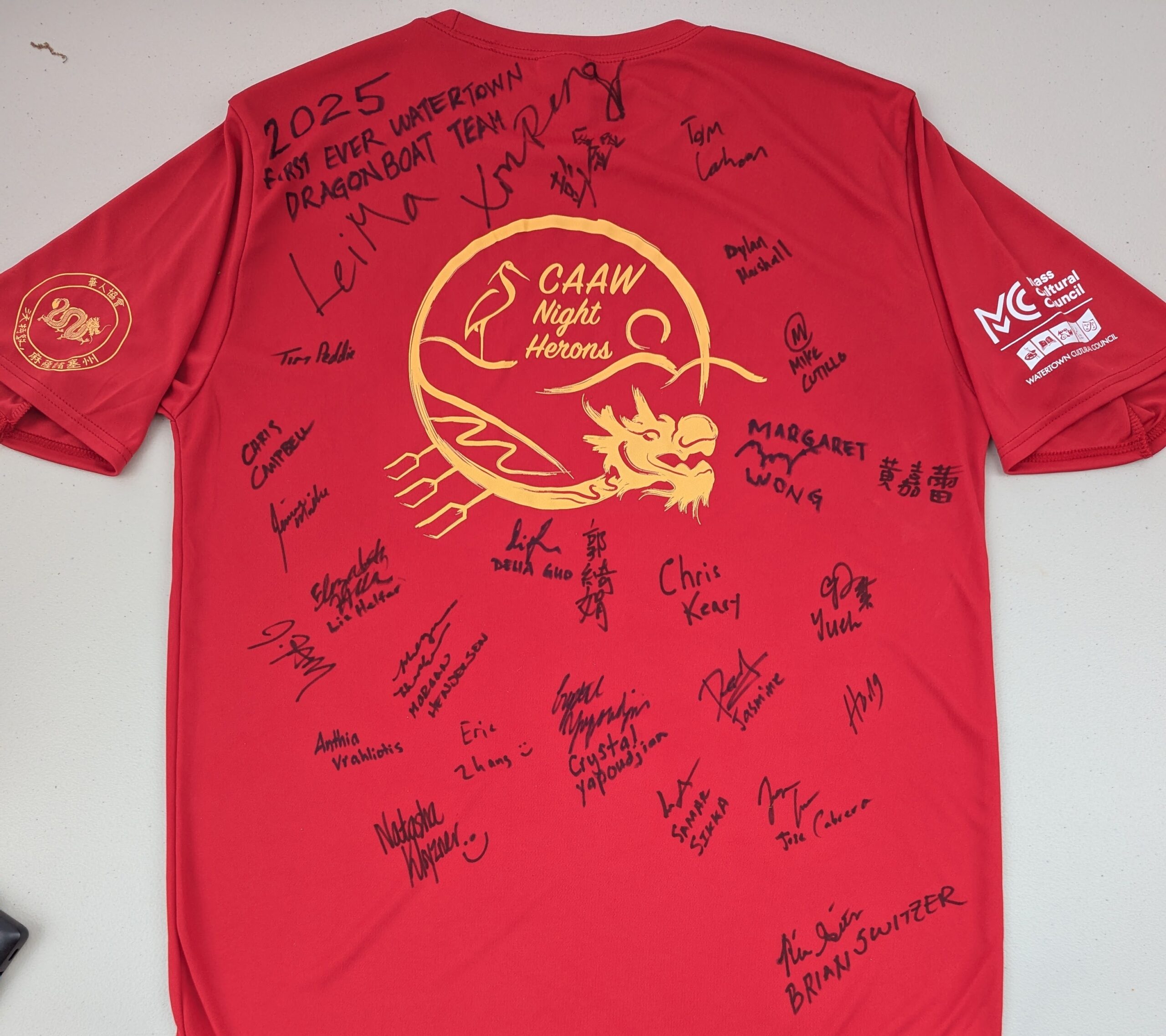 Night Herons to Come Back Stronger Next Year at the Boston Dragon Boat Festival